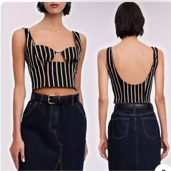 Lioness Black and Tan Striped Crop Top - Picture 1 of 12